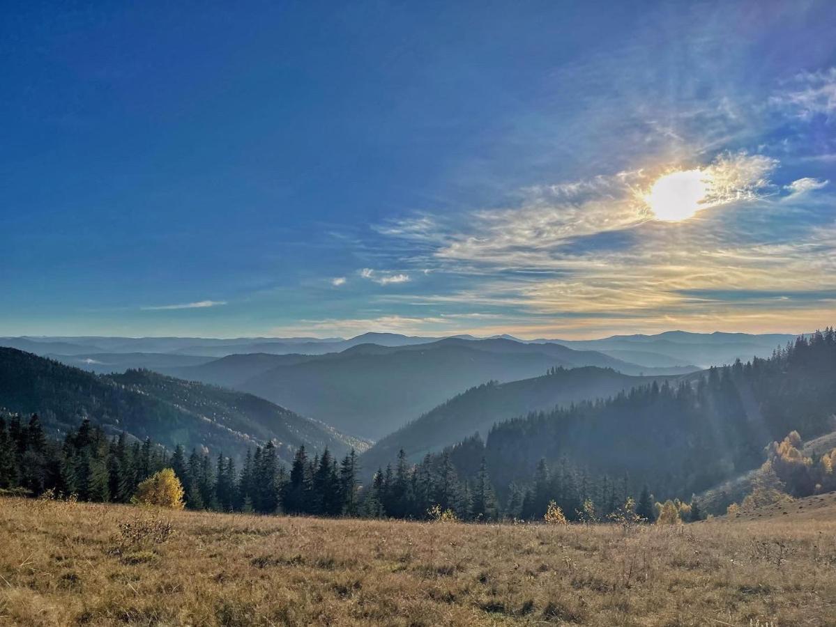 Villa M Mikuliczyn Zewnętrze zdjęcie